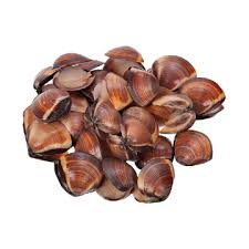 Almeja Marron 16-25 g/pz (40-60) 6x1kg