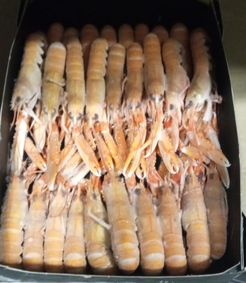 Cigala Escocia 50-70 g/pz (2) 1,250kg 4x1,5kg