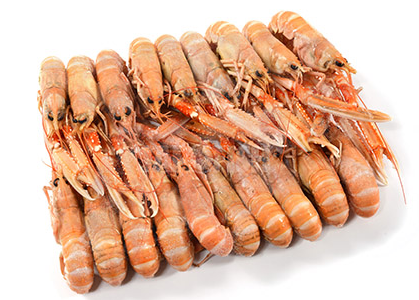 Cigala Escocia 70-100 g/pz (1) 1,250kg 4x1,5kg
