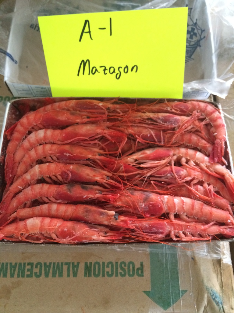 ALISTADO H. 1  TRES CARABELAS (F)