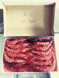 [110157] Alistado H.A1 MURIEL 40/42 PZ