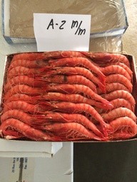 [111611] Alistado H.2 TRES CARABELAS 60/62 PZ